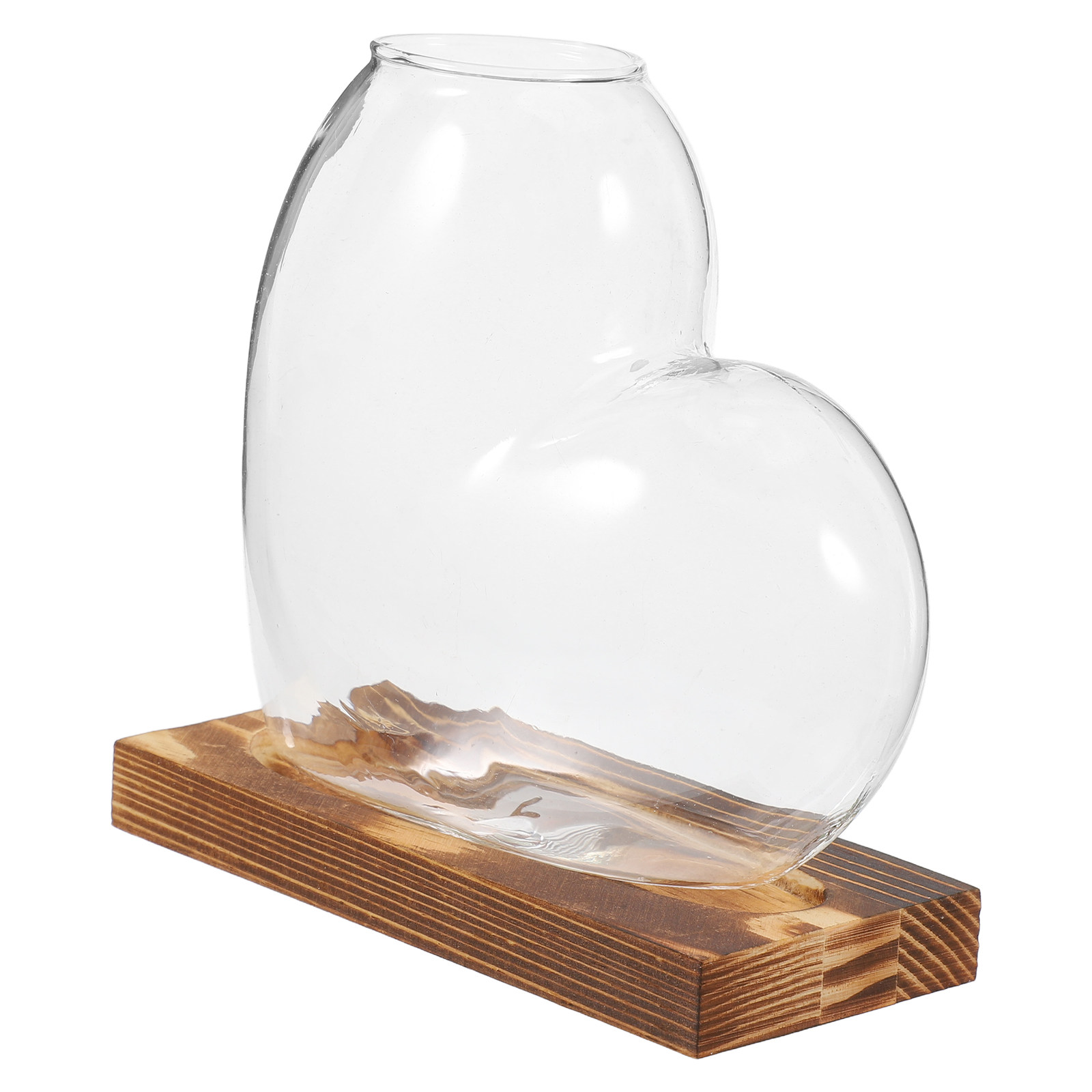 Propagation Station Vase - Hydroponische glazen vaas, transparant, voor plantenvermeerdering