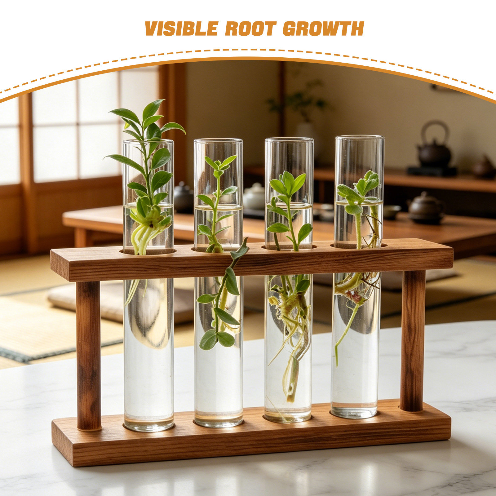 Houten standaard voor plantenv - Propagation Station Vase recensie en prijs