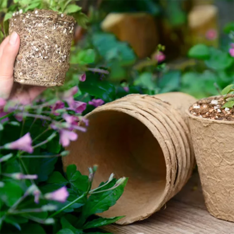50 stuks ronde potjes van veen - Peat Pellet Tray recensie en prijs