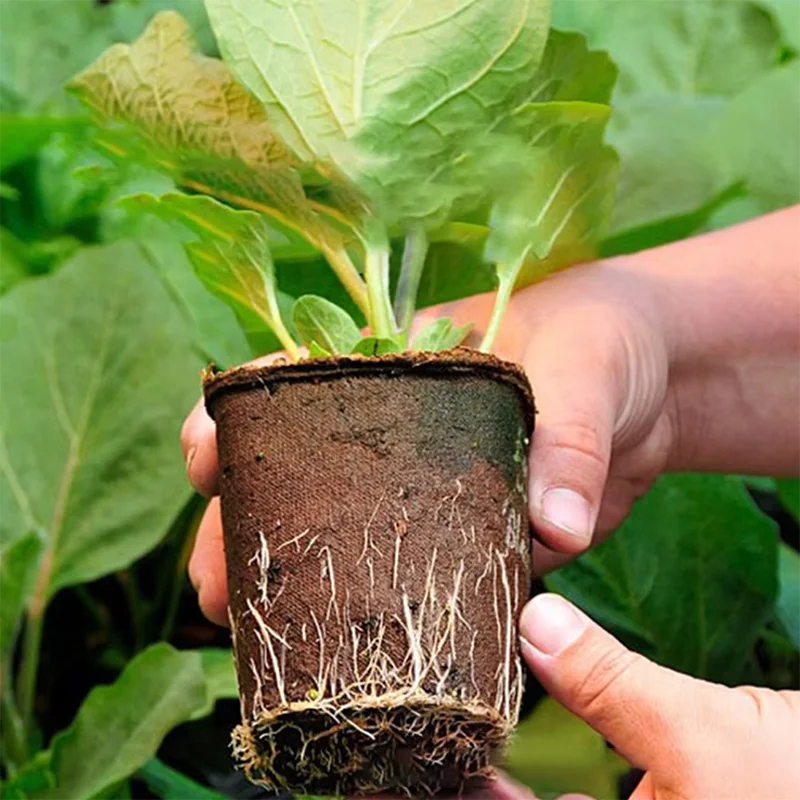 50 stuks ronde potjes van veen - Peat Pellet Tray recensie en prijs